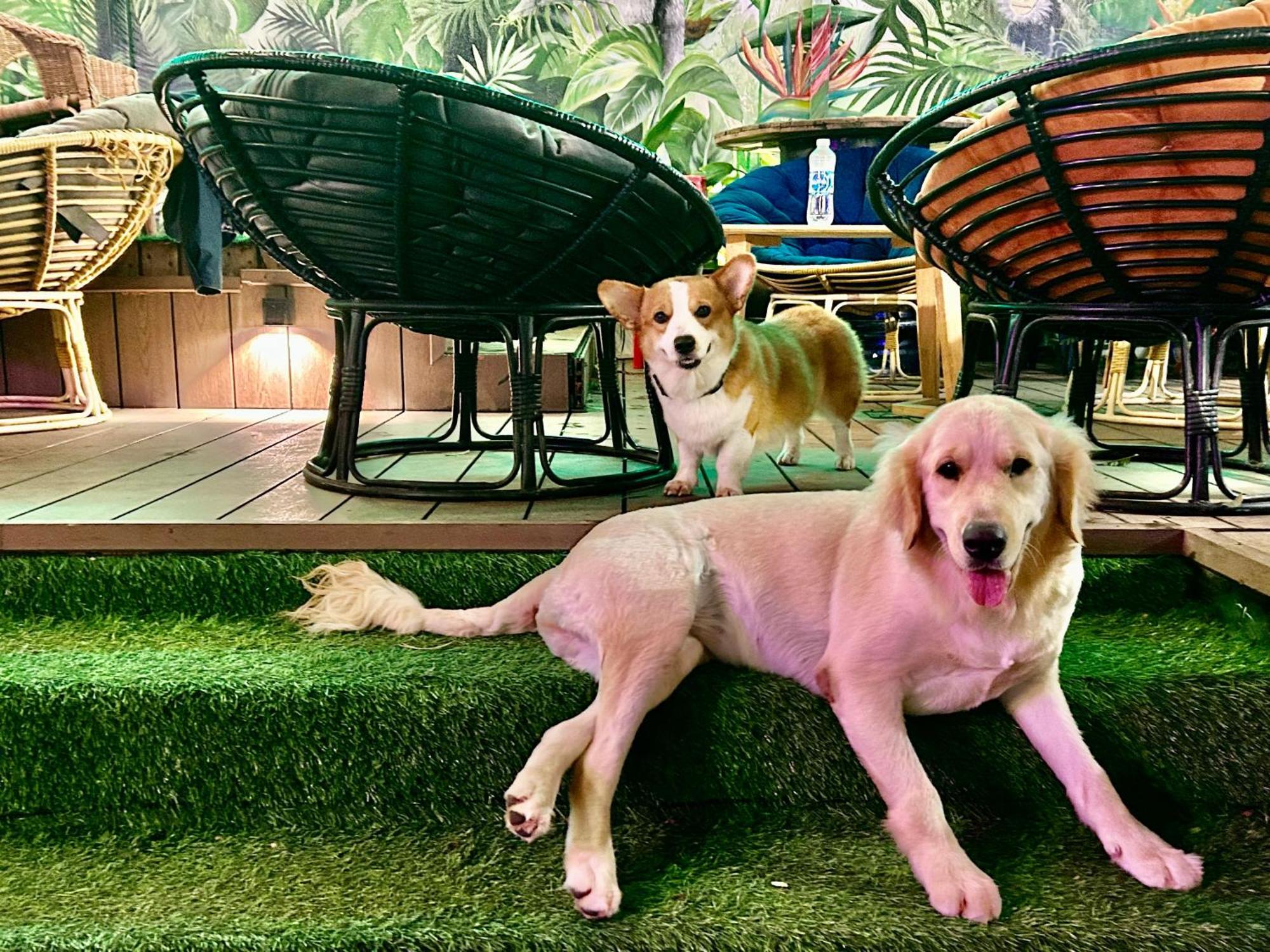 Rom Casa Hostel Đà Nẵng Kültér fotó